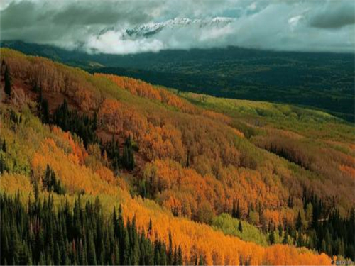 |ýȩЧôӣʲô(jng)