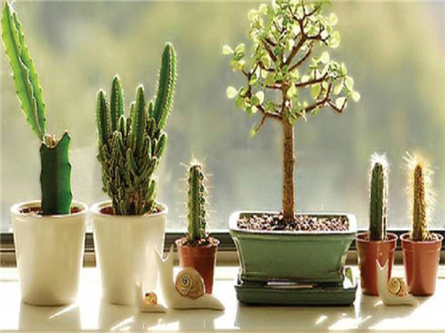 �҃�(n��i)��ȩ�ā�Դ�cΣ������Щ��